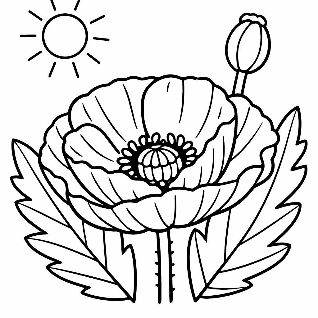 Free printable coloring page: Object Only: Three Poppies At Different Stages, for ages 3-6