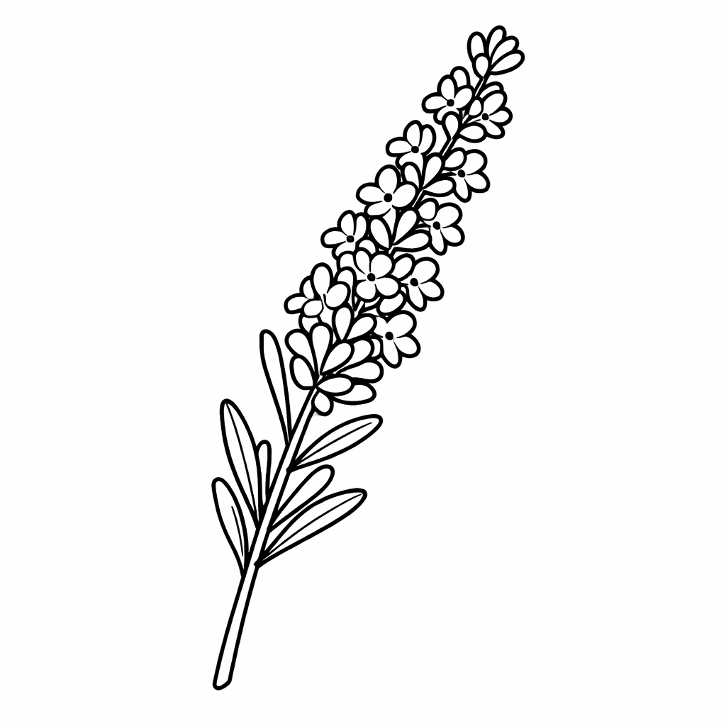 Free printable coloring page: Object Only: A Sprig Of Lavender With Detailed…, for ages 3-6